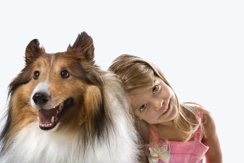 dogs that are with children what you need to about dogs and urbandaddies dogs that are with children what you need to about dogs and urbandaddies